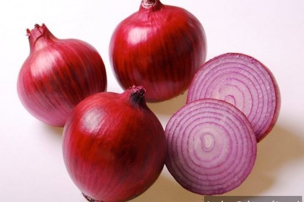 Официальный сайт крамп onion onion top
